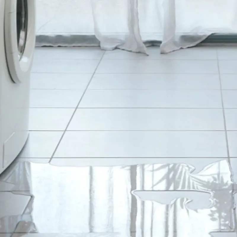 Appliance Leak Cleanup in Tuskegee, AL