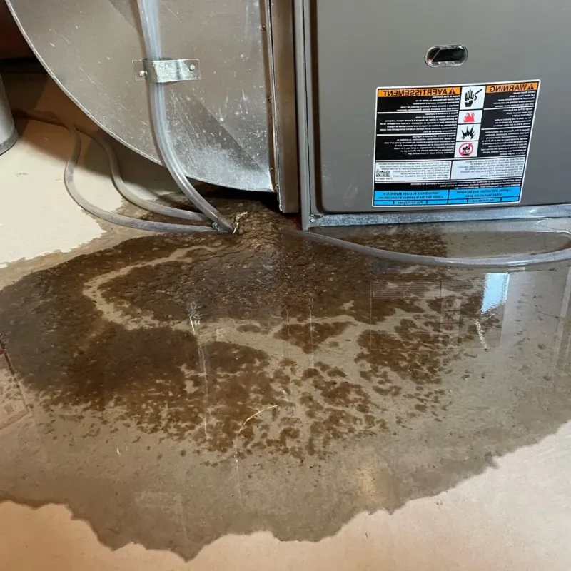 Pipe Burst and Leak Restoration in Tuskegee, AL